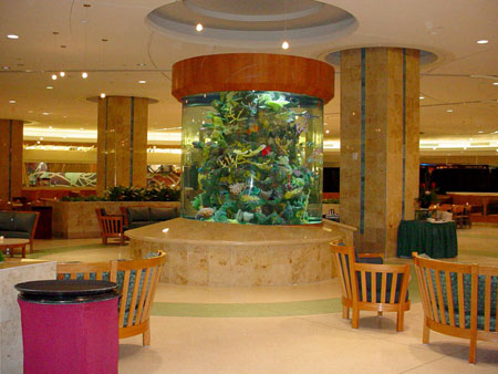Acrylic Aquarium Picture